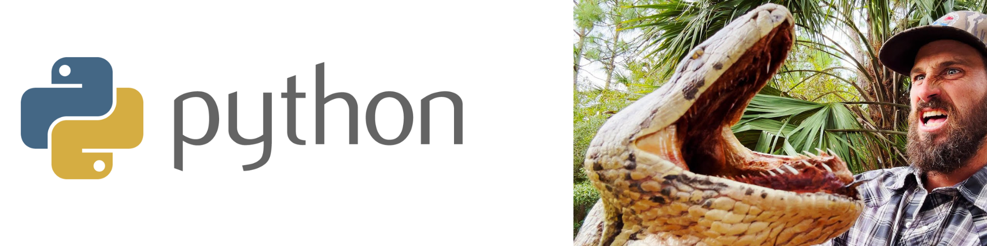 Стоит ли изучать Python? 