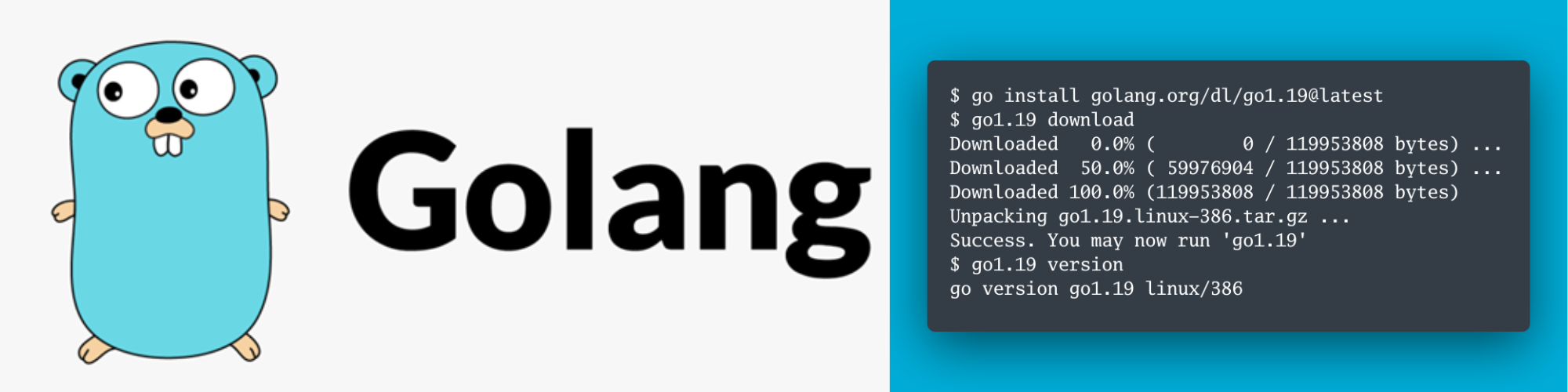 Почему стоит начать изучать язык программирования Golang (Go) в 2023 году ?